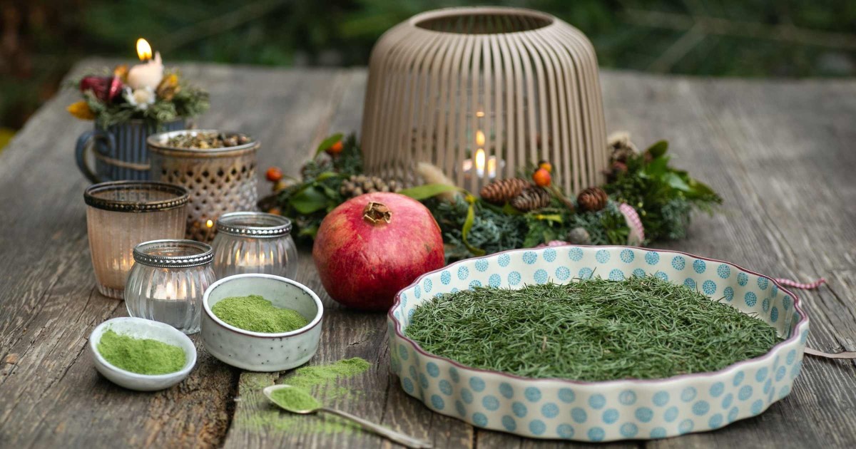 Fichtennadel Parfait - Silja Parke